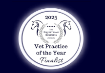 Vet3 Equine Care