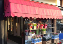 Jennifleurs Florist Colchester