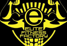 elitefitnessfactory